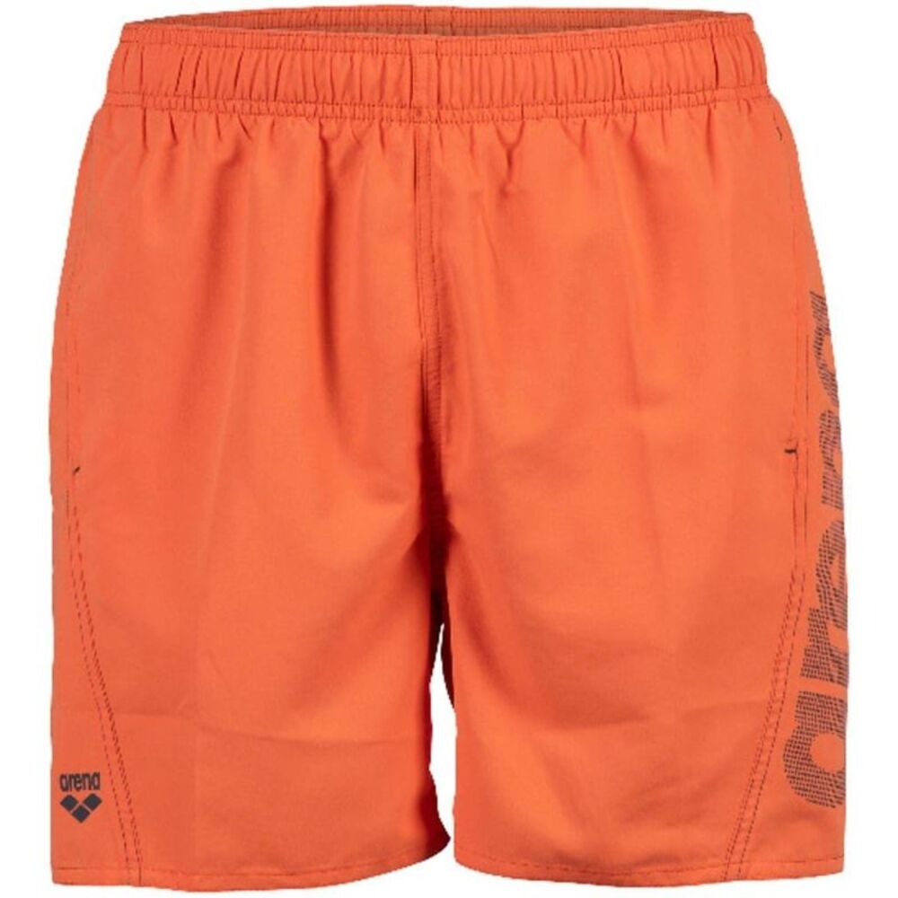 Arena Mens Board Shorts / Asphalt